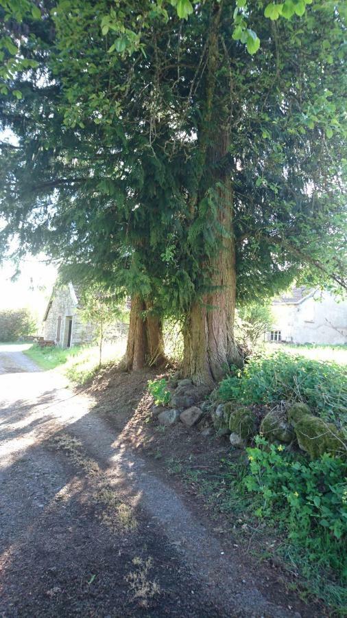 Ferme De La Grange Du Bas Villa Saint-Bresson Exteriör bild